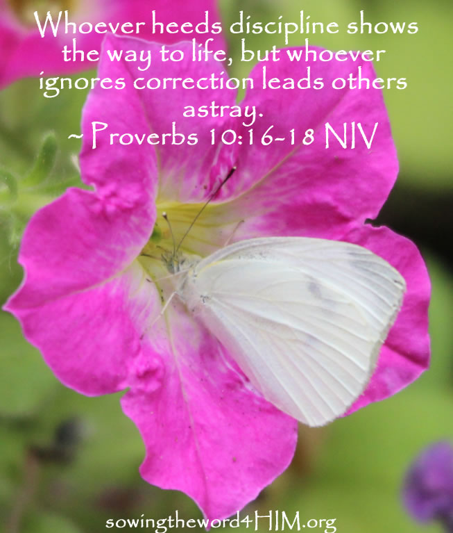 1000-images-about-bible-proverbs-on-pinterest-proverbs-6-christ